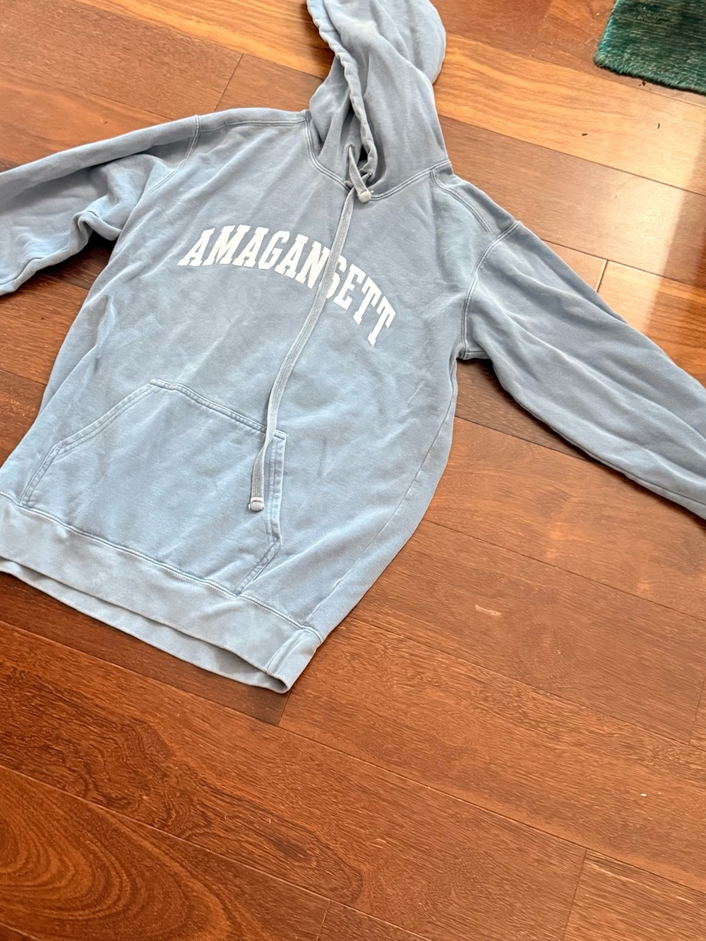 Comfort Colors Light Blue Crewneck Hoodie with Arch Logo